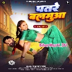 Ae Sakhi Patare Balamua Ke Bisari Kaise