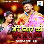 Mere Pyaar Ko Bhula Toh Na Doge