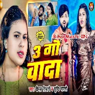 Tin Go Wada Kara Ae Kareja