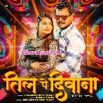 Til Pe Diwana (Pramod Premi Yadav)